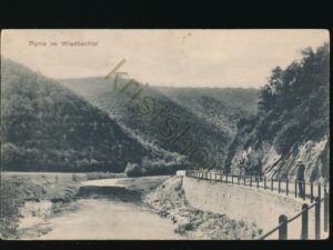 Partie im Wiedbachtal [006-0258