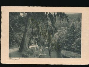 Schwarzatal - Thüringen [006-0452