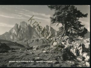 Gruppo delle Fermede - Dolomiti di Gardena [006-0896