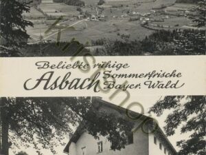 Asbach - Bayer Wald [006-1094