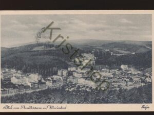 Blick vom Aussichtsturm auf Marienbad [006-1188