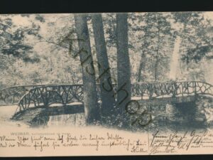 Weimar -Naturbrücke im Park [006-1288