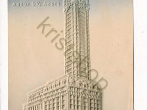 New York - Singer Building - Relief (damage) [006-1379