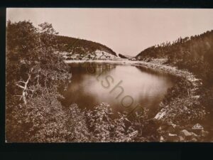 Hautes-Vosges - Le Lac Noir [006-1421