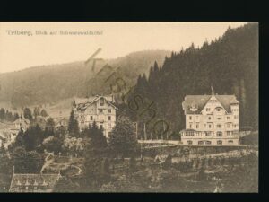 Triberg - Blick auf Schwarzwaldhotel [006-1422