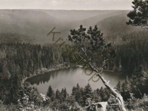Ruhestein - Der Wildsee [006-1851