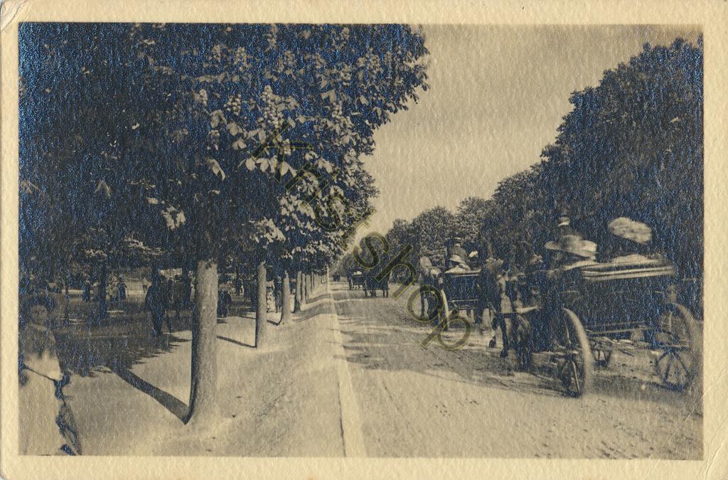 KRST006-2106_0.jpg ??? Wien ??? - KK Prater Hauptallee [006-2106