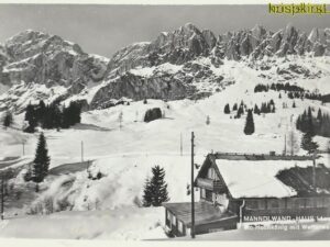 Manndl Wand Haus am Hochkönig [006-2204