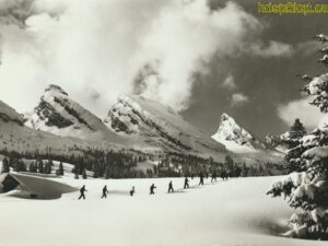 Alp Sellamatt [006-2372