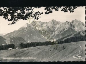 Fieberbrunn - Streuböden mit Loferer Steinberge [006-2500