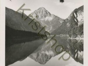 Plansee Tirol g Thaneller  [006-2656