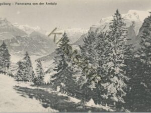 Engelberg - Panorama von der Alp [006-2988