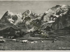 Die Jungfraugruppe [006-2996