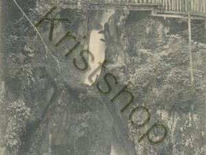 Tête noire - Les Gorges [006-3138