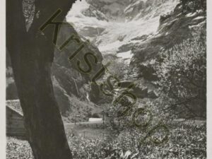 Grindelwand - Fiescherwand [006-3226