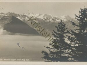 Berner Alpen vom Rigi aus [006-3227
