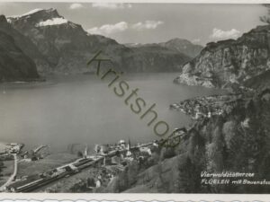 Vierwaldstättersee - Flüelen mit Bauenstock [006-3250