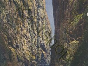 Aareschlucht [006-3287