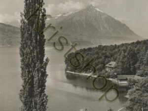 Interlaken - Thunersee mit Niesen [006-3358