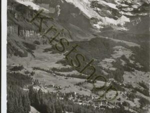Wengen mit Jungfrau [006-3381