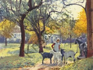 Deutsche malerische Postkarte - Serie: 312 Nr: 4724 [006-3414