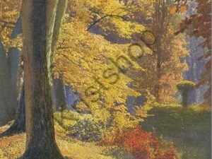 Deutsche malerische Postkarte - Serie: 312 Nr: 4728 [006-3418
