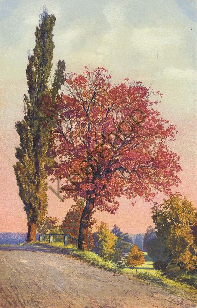 KRST006-3419_0.jpg Deutsche malerische Postkarte - Serie: 312 Nr: 4729 [006-3419