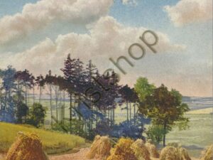 Deutsche malerische Postkarte - Serie: 301 Nr: 4589 [006-3433