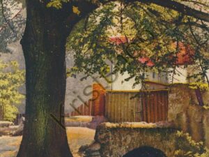Deutsche malerische Postkarte - Serie: 301 Nr: 4593 [006-3437