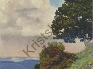 Deutsche malerische Postkarte - Serie: 301 Nr: 4598 [006-3442