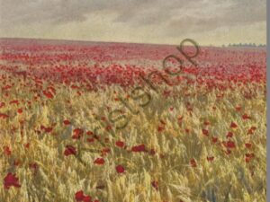 Deutsche malerische Postkarte - Serie: 302 Nr: 4601 [006-3443