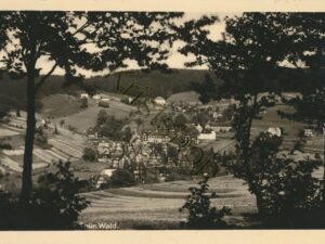 Stützerbach - Thür Wald [006-3485