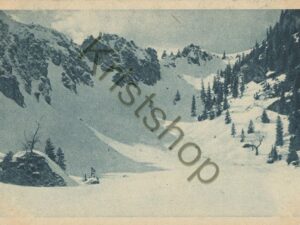Aufstieg vom Soila zum Laber [006-3669
