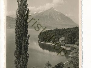 Interlaken - Thunersee mit Niesen [006-3803