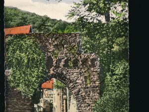 Burg Altwied [006-3867