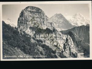 Schreckhorn [006-3901
