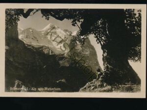 Schwarzwald - Alp mit Wetterhorn - Berneroberland   [006-3913