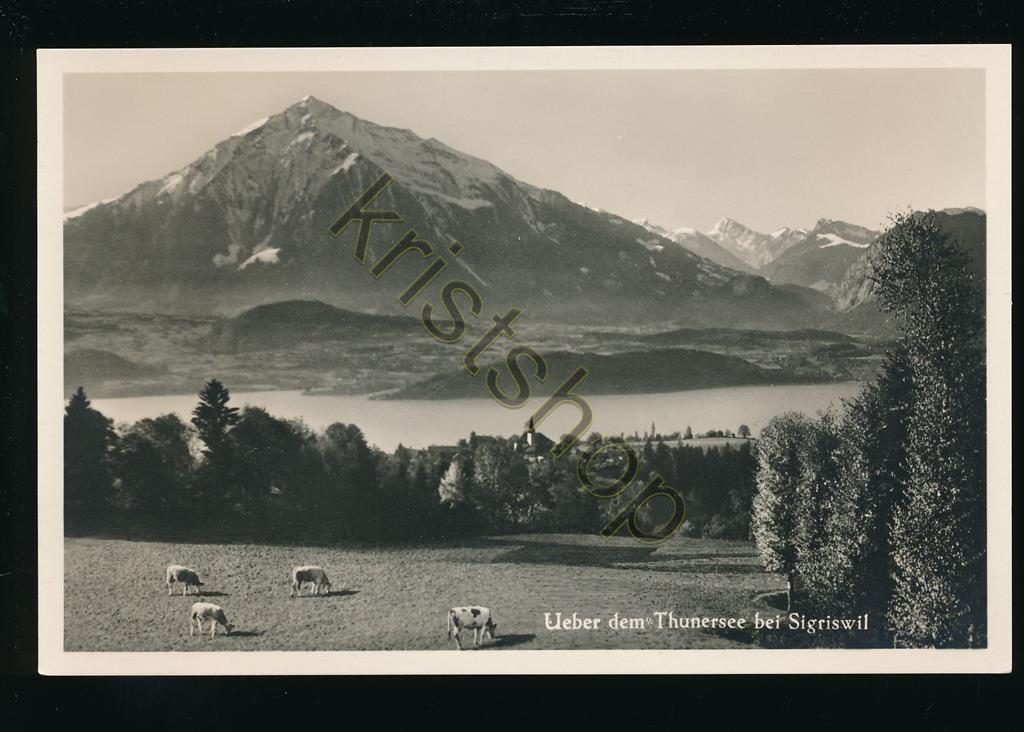 KRST006-3991_0.jpg Ueber dem Thunersee bei Sigriswil [006-3991