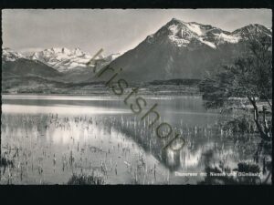 Thunersee mit Niesen und Blümlisalp [006-4069