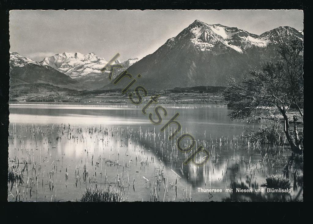 KRST006-4069_0.jpg Thunersee mit Niesen und Blümlisalp [006-4069