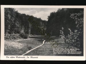 Der schöne Westerwald Im Wiesental [006-4148