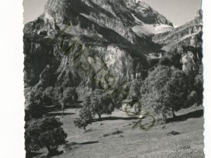 ??? Braunwald ??? [006-4334