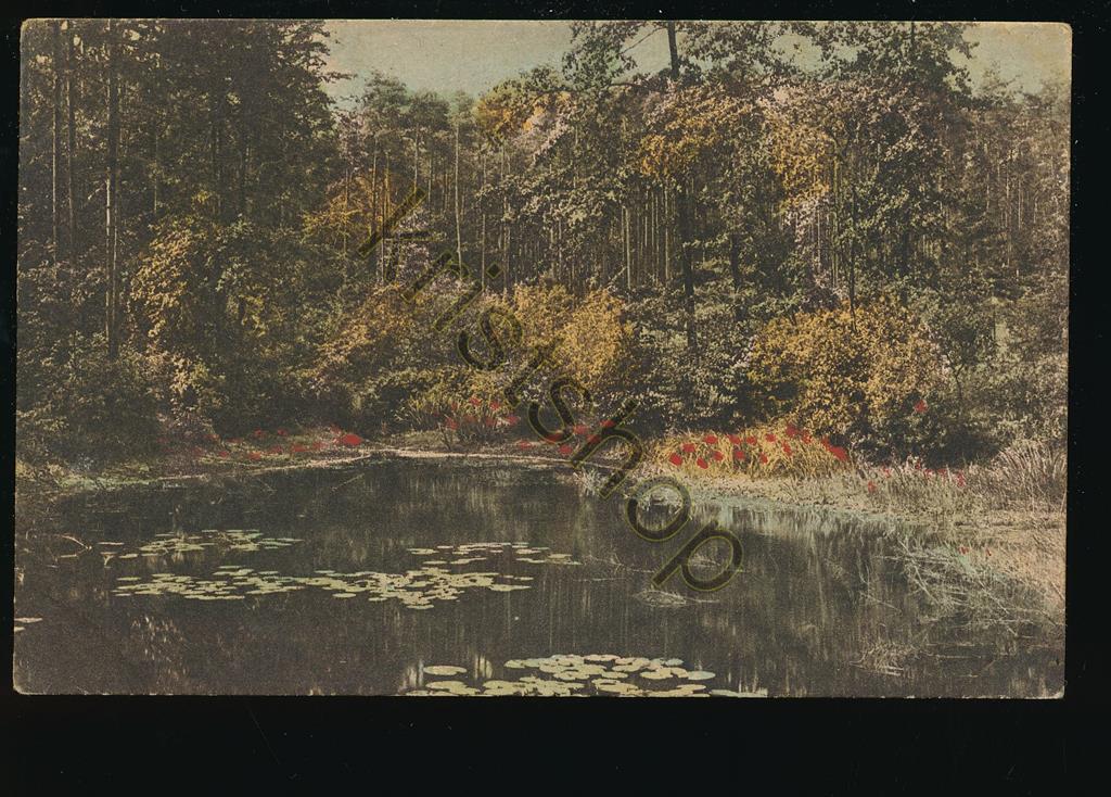 KRST006-4517_0.jpg ??? Unknown - Unbekannt - zoekplaatje ??? [006-4517