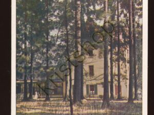 Elbingrode im Harz - Haus Tanne   [006-4752