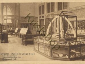 Tervueren - Musée du Congo Belge  [006-4803
