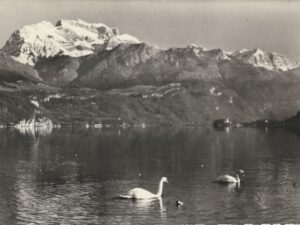 Lac D'Annecy [006-4903