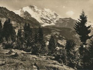 Wengen mit Schwimmbad [006-4986