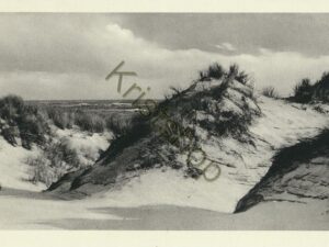 Insel Amrum - wanderdüne [006-5074