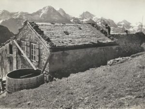 Hotel Faulhorn [006-5281