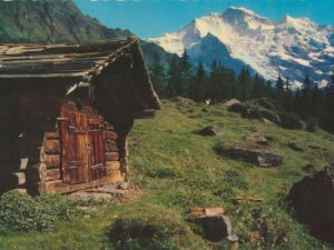 Wengen [006-5374